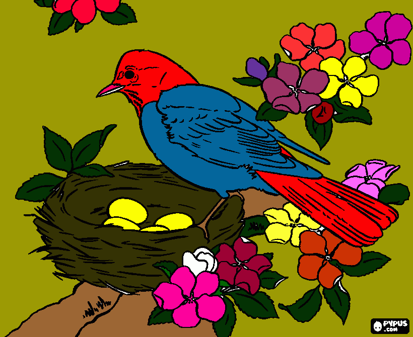 arte e vida para colorir e imprimir