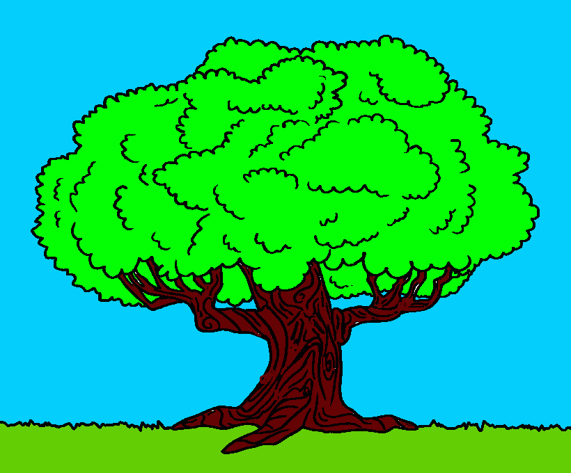 arvore carvalho para colorir e imprimir