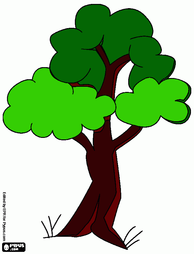 arvore colorida para imprimir desenho arvore colorida