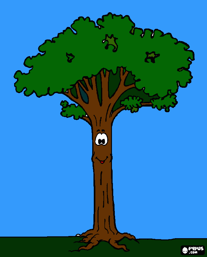 arvore pau brasil para colorir e imprimir