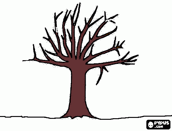 arvore sem folh para imprimir desenho arvore sem folh