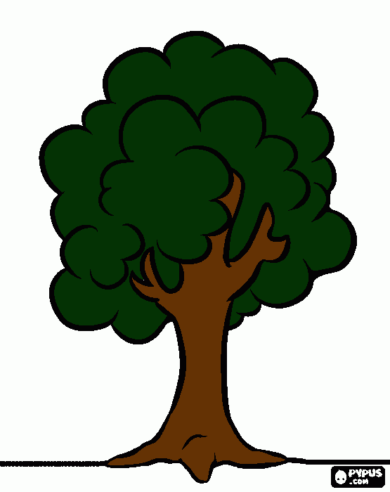 Arvore para colorir e imprimir