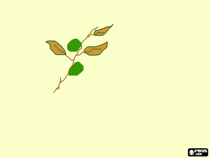 azeitonas para colorir e imprimir