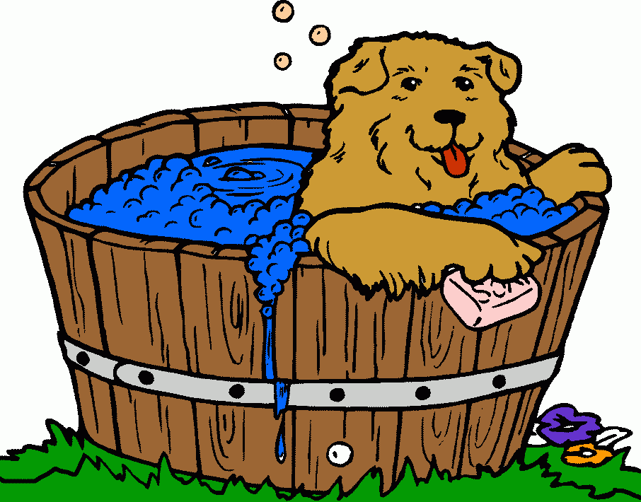 Banho e tosa para colorir e imprimir