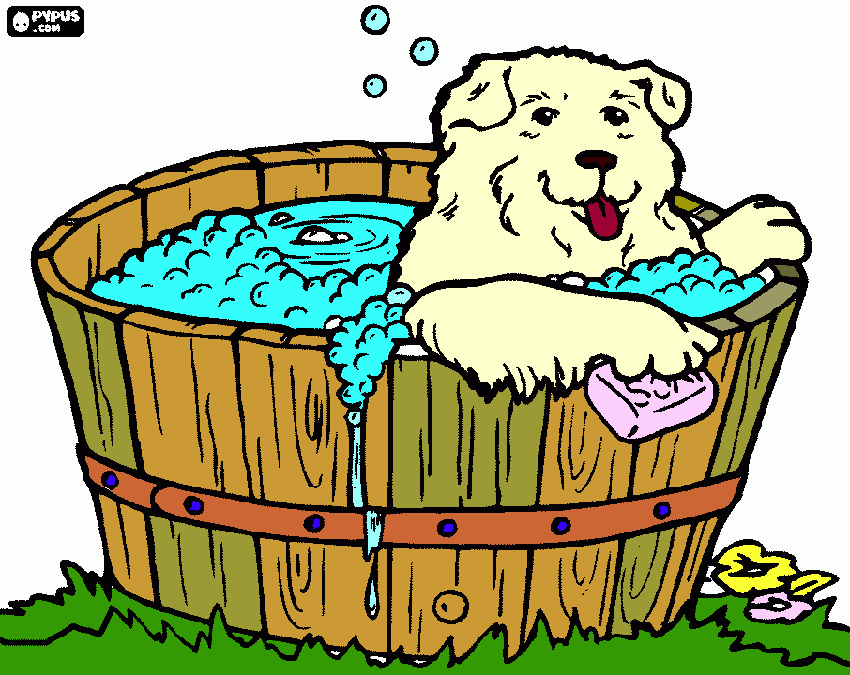 banho gostoso para colorir e imprimir