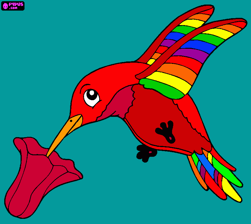 BEIJA FLOR DA MUSICA  MINHA ROSA BRANCA MUSICA DO CALYPSO. para colorir e imprimir