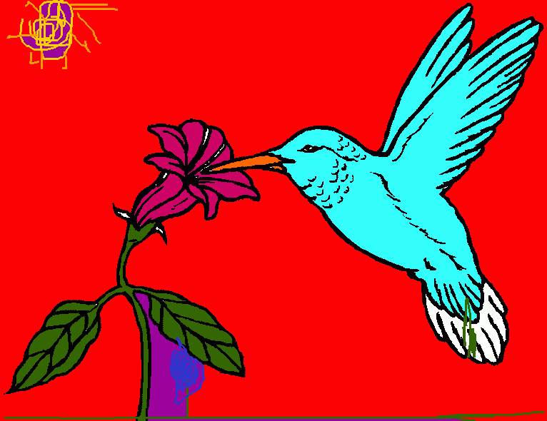 beija flor para colorir e imprimir