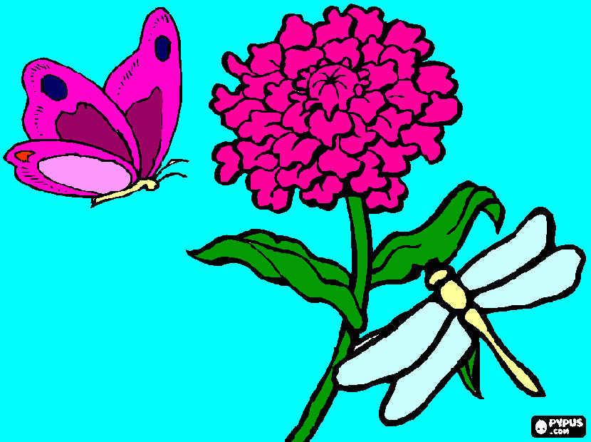 BICHOS E FLORES para colorir e imprimir