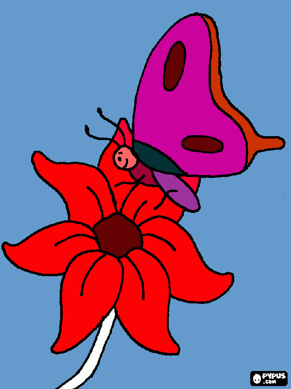 BOBOLEDA para colorir e imprimir