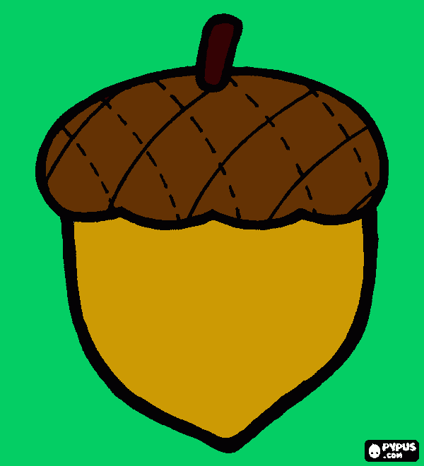 bolota para colorir e imprimir