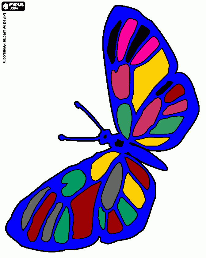 borboleta azul para colorir e imprimir