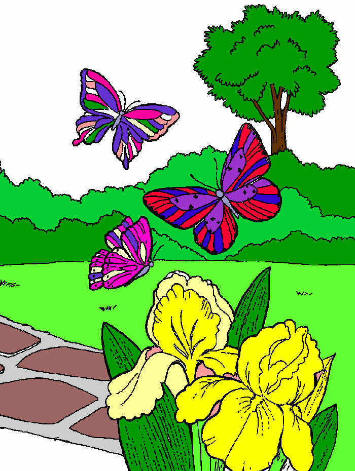 borboleta chique em para colorir e imprimir