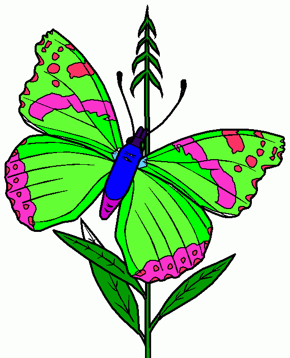 Featured image of post Borboleta Colorida Para Imprimir Desenho de borboleta colorida para imprimir