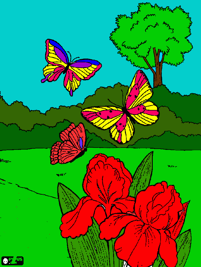 borboleta e outros para colorir e imprimir