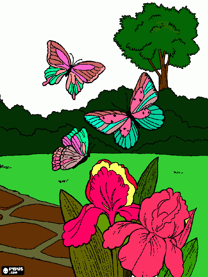 borboletas no jardim para colorir e imprimir
