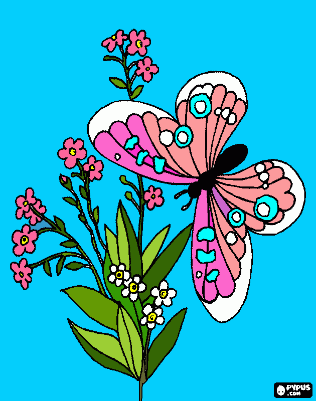 borboletasssssssss para colorir e imprimir