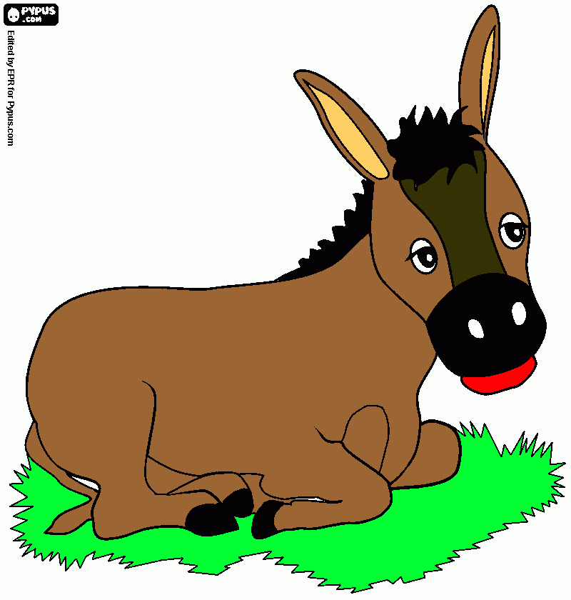 borinho para colorir e imprimir