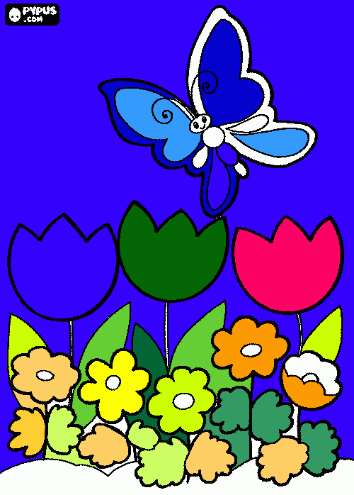 BRABULETA AZUL para colorir e imprimir