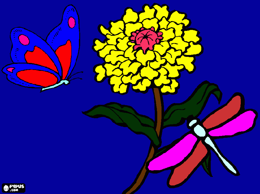 brilha linda flor  para colorir e imprimir