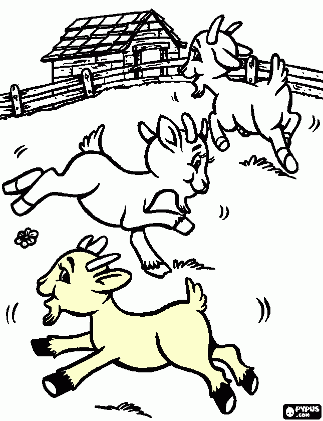 Cabritinho para colorir e imprimir