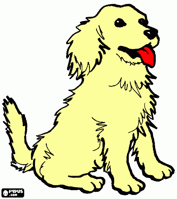 cachorrinho lindo! para colorir e imprimir