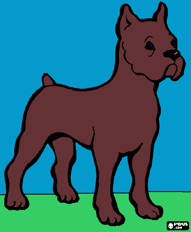 cachorro marrom de olhos azuis para colorir e imprimir