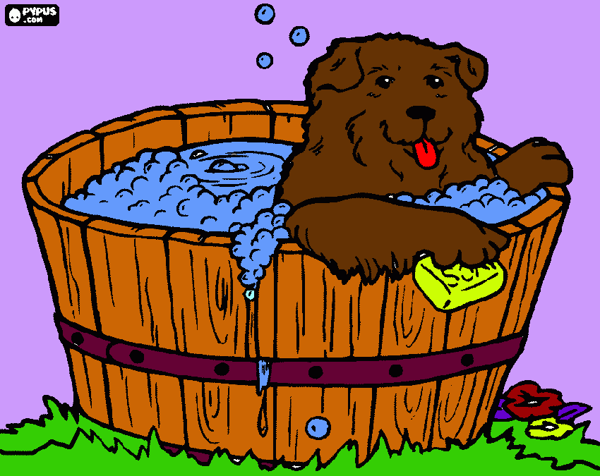 cachorro no banho para colorir e imprimir