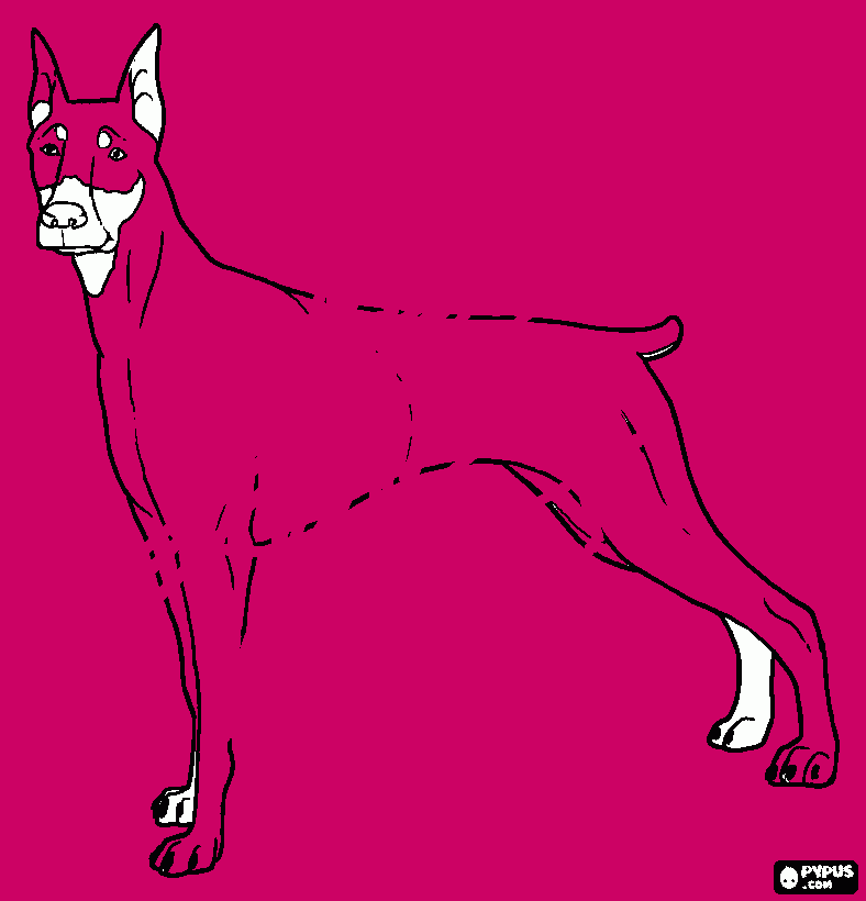 cachorro rosa para colorir e imprimir