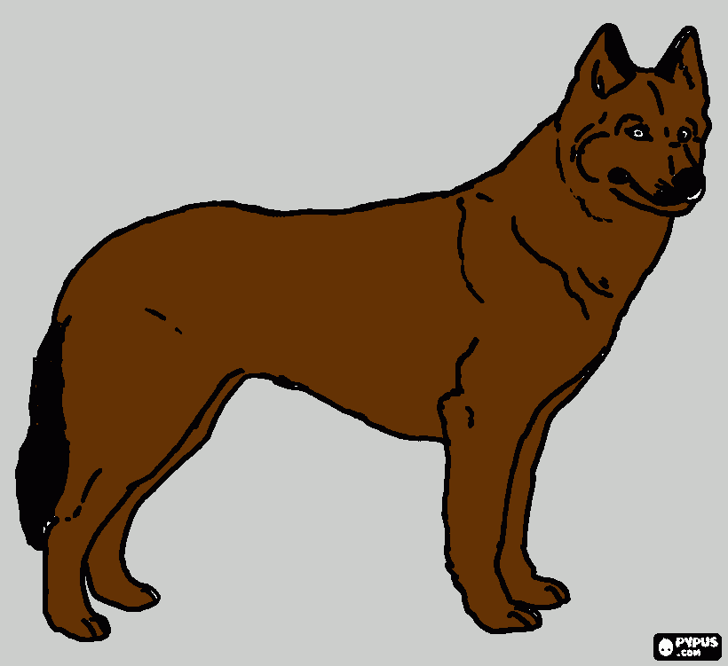 cachorro toti para colorir e imprimir