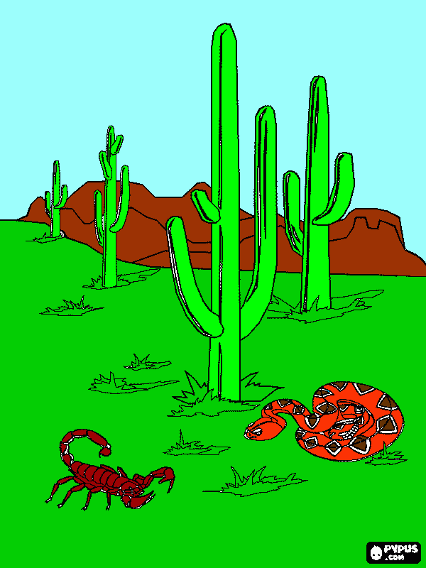 Cactos para colorir e imprimir