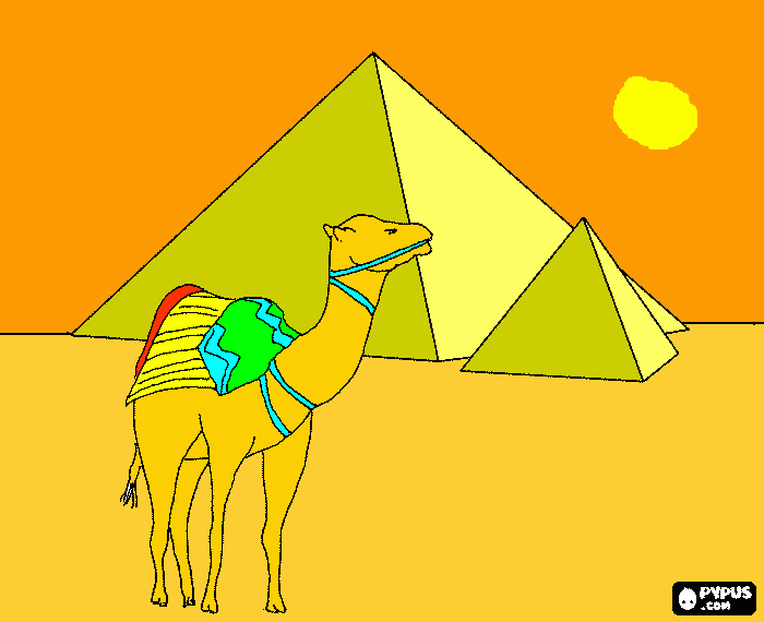 camelo no deserto para colorir e imprimir