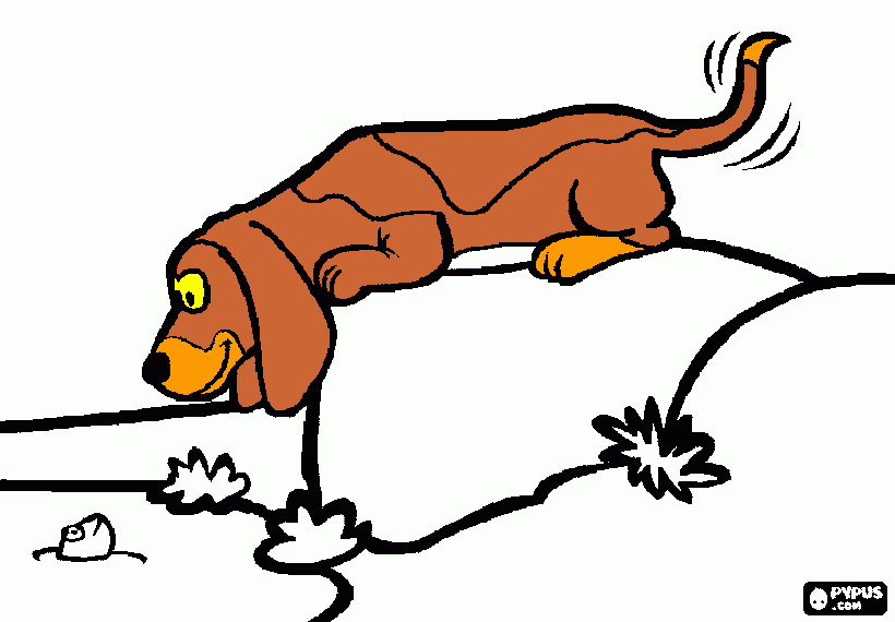 cao basset para colorir e imprimir