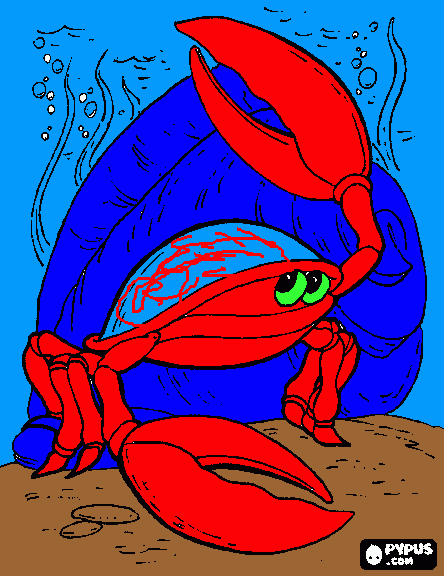 Caranguejo não é peixe para colorir e imprimir