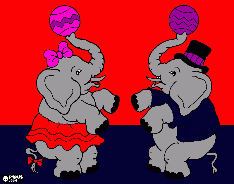 casal de elefantes para colorir e imprimir