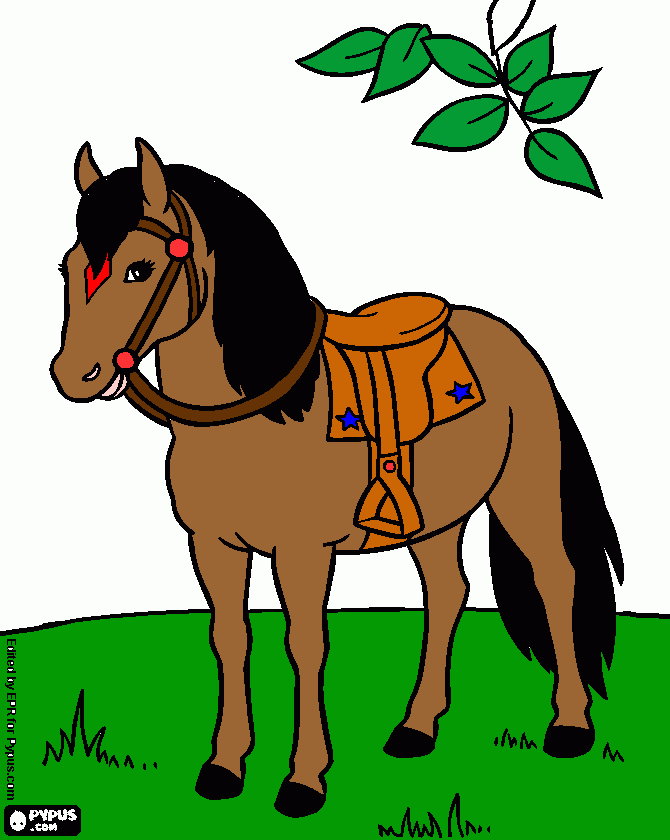 cavalo 001 para colorir e imprimir