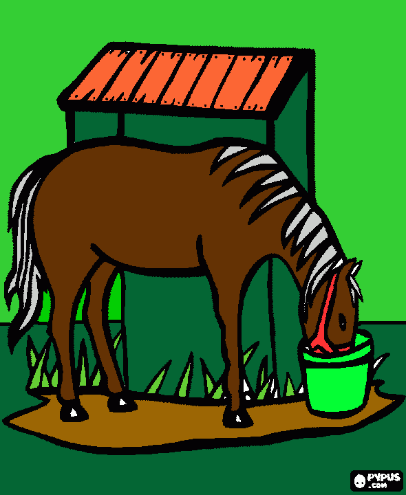 cavalo bebendo agua para colorir e imprimir