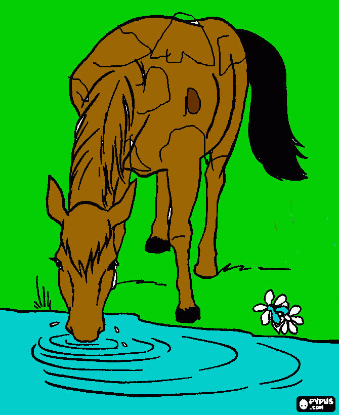 cavalo bebendo água no rio para colorir e imprimir