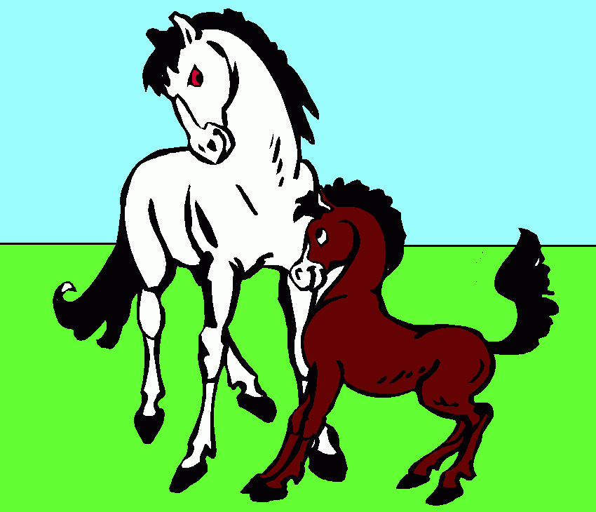 cavalo branco para colorir e imprimir