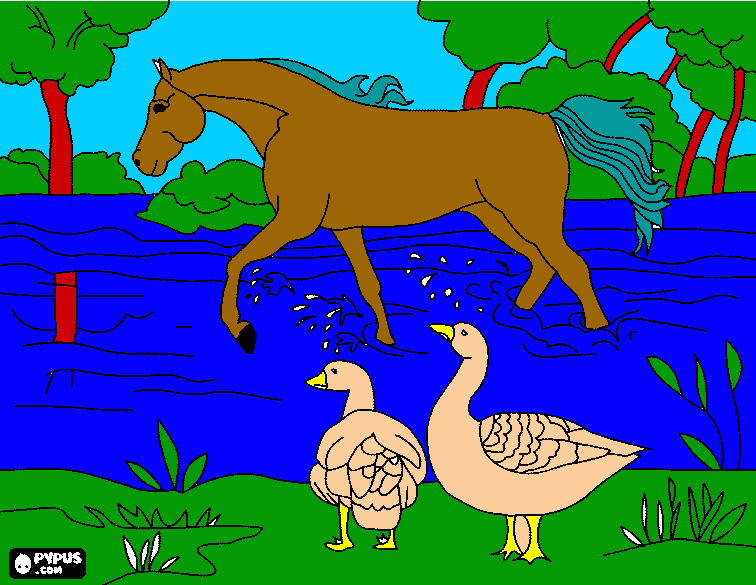 Cavalo cavalgando na água para colorir e imprimir