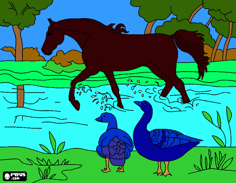 cavalo com os patos para colorir e imprimir