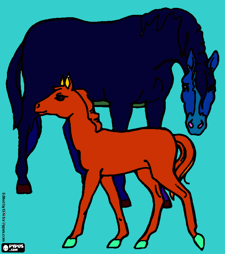 cavalo crioulo e essu podro para colorir e imprimir