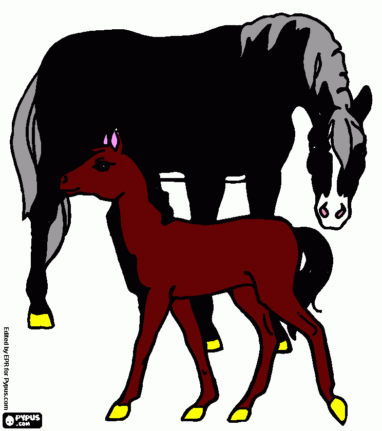 Cavalo da fazenda. para colorir e imprimir
