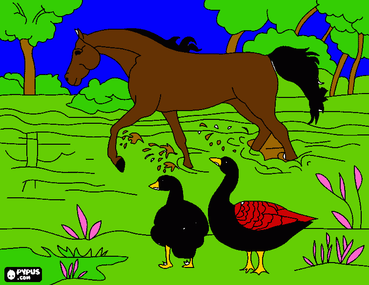 cavalo manga larga para colorir e imprimir