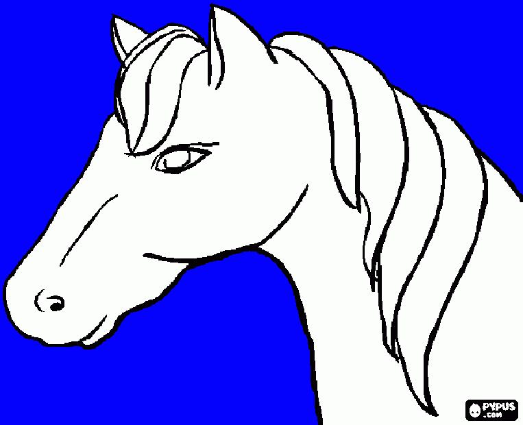 cavalo vista lateral para colorir e imprimir