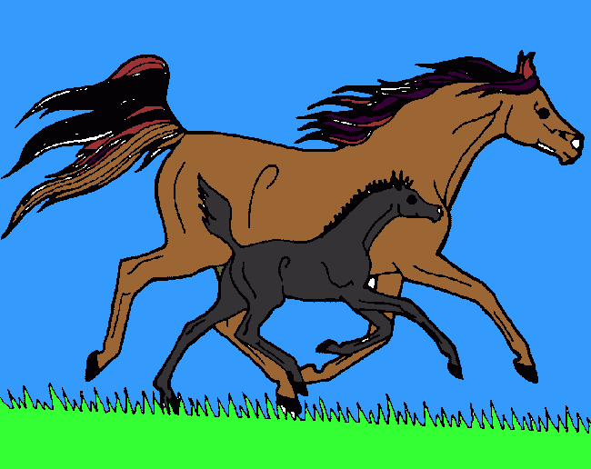 cavalos correndo com liberdade para colorir e imprimir