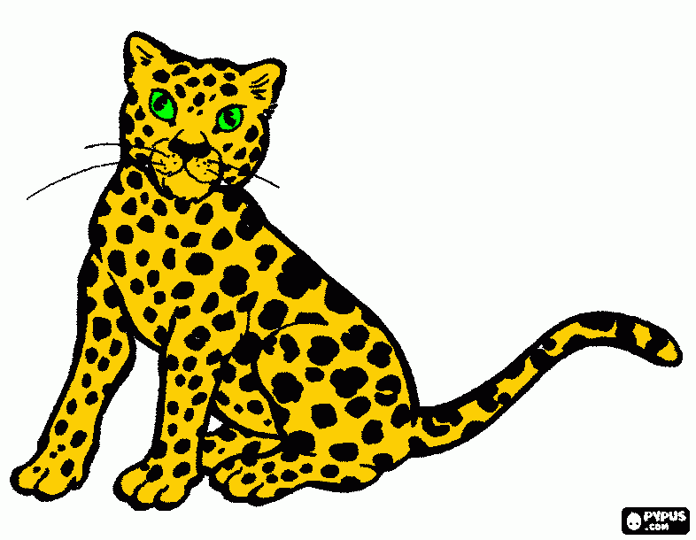 chita para colorir e imprimir