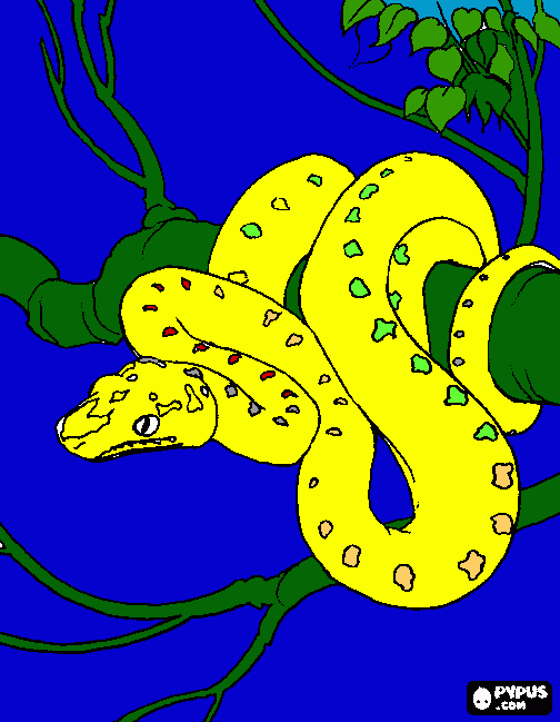 Cobra na árvore para colorir e imprimir