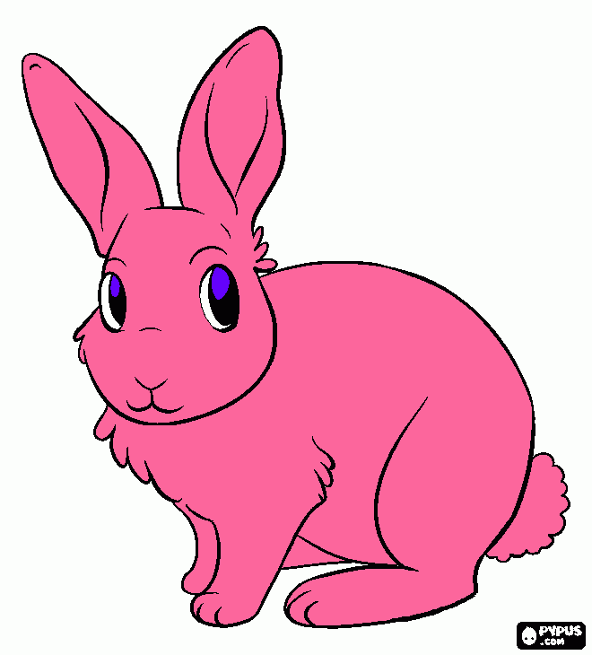 coelho em alerta com os olhos abertos e orelhas em pe para colorir e imprimir