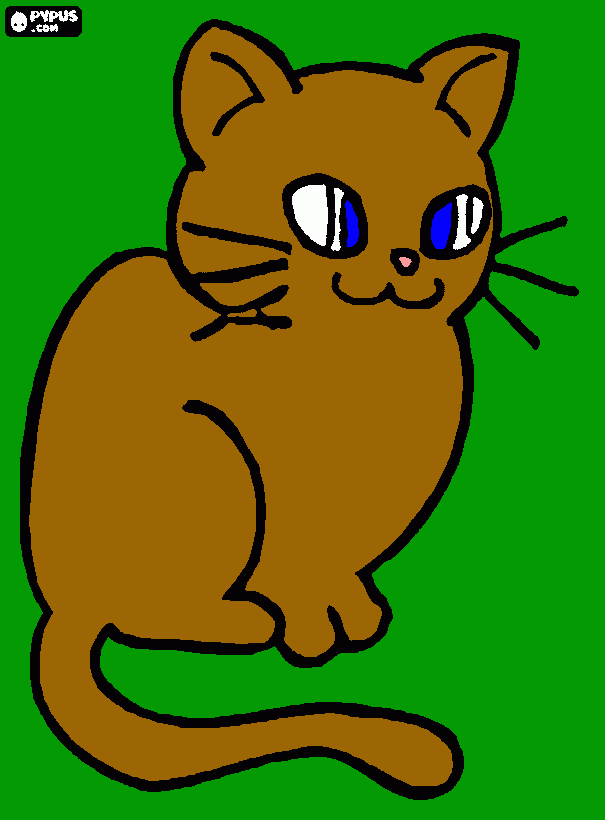 cor castanho ,olhos azulis, na erva um gato para colorir e imprimir
