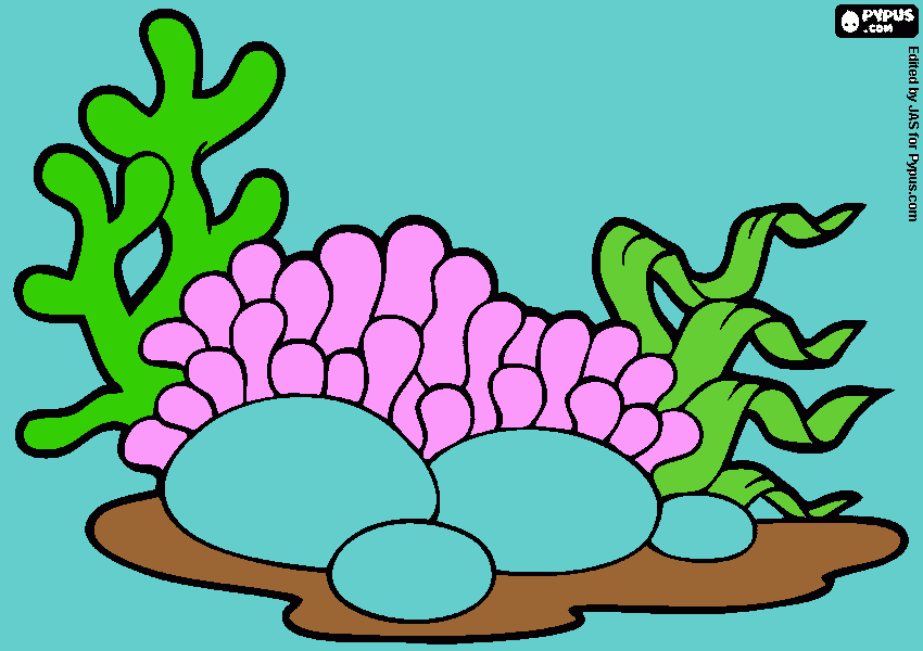 corais para colorir e imprimir